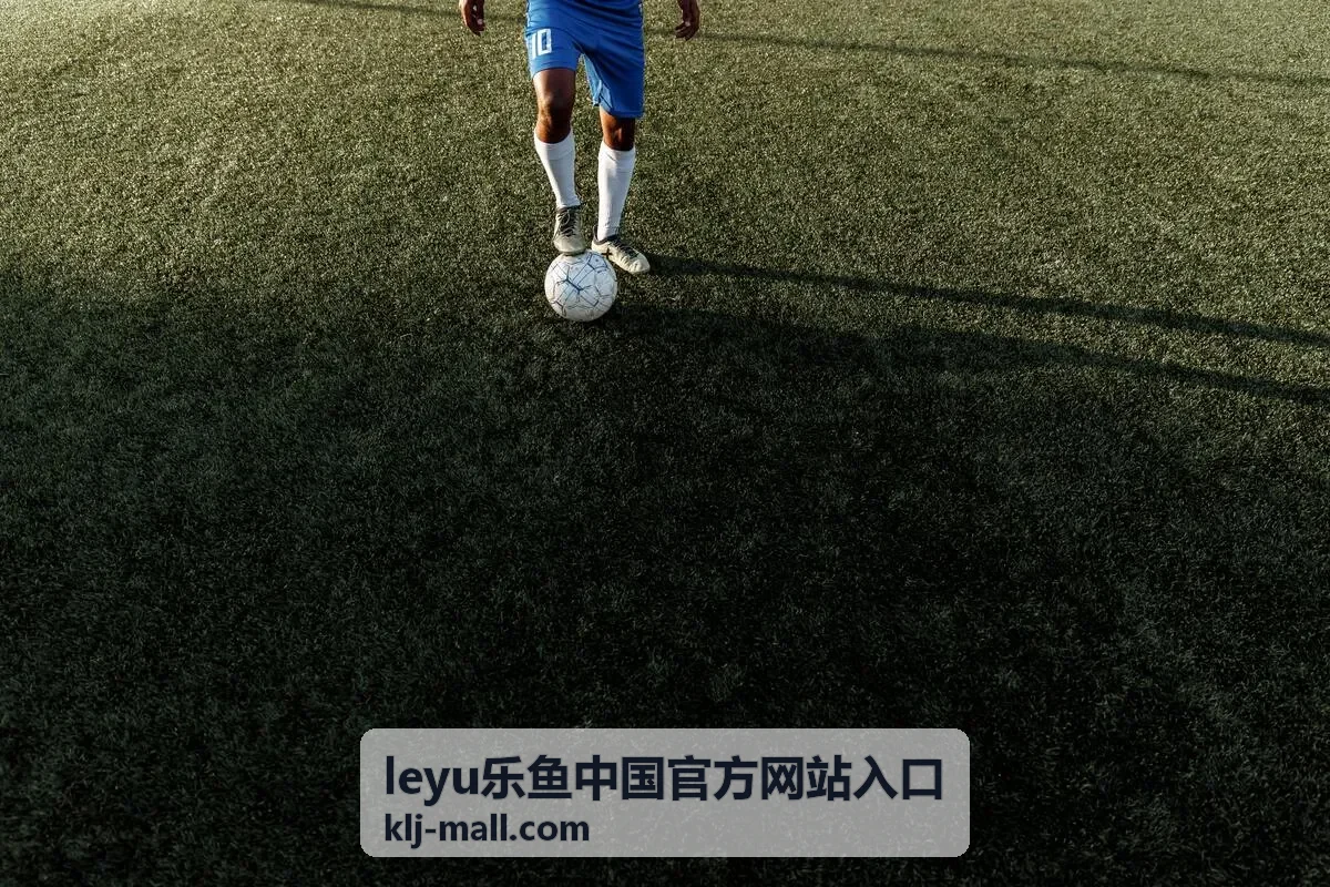 leyu乐鱼中国官方网站入口操作步骤示意界面
